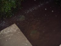 water 003.jpg