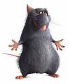 Rats Rats Rats Rats Rats.jpg
