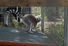 DSC_0767.jpg
