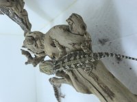 8AE455C4-EFD4-4947-8A03-5FBD84FE36A2.jpg
