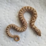 20190615_105724.jpg
