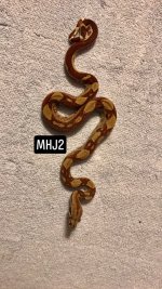 FullSizeRender-1 3.jpg