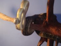 20190605_144628.jpg