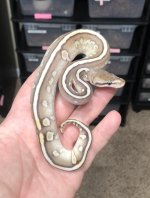 C3E00B80-71AC-4CBB-8ED8-447EC2B9D45E.jpg