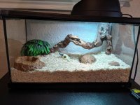 Tank setup.jpg