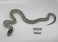 E13FF81B-42E9-4BC2-B923-7E8657CDAEB4.jpg