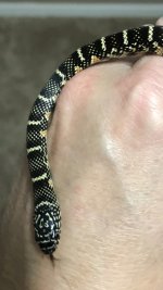 415A9B71-11BA-42F4-9ED0-6BB3C8E400F6.jpg
