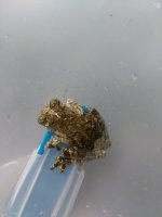 IMG_20170518_171124.jpg