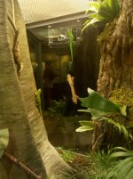 IMG_20101207_163651.jpg