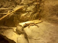 IMG_20101207_162524.jpg