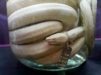 IMG_20101207_163307.jpg