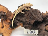 LW3b.jpg
