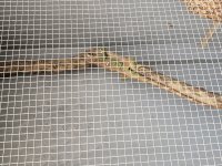 20201007_083957.jpg