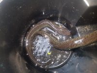 5. ninja serpents.jpg