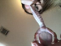 C0C4295A-A0E8-4854-AC39-AB05A4681DF2.jpg