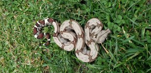 20201110_144054.jpg