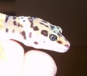 100_3776.jpg
