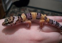 100_3779.jpg