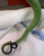IMG_20101220_152810.jpg
