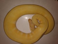 IMG_20201104_104429808.jpg