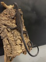 84C4E086-B9BF-4B15-B714-1FCE5A7E8DD5.jpg