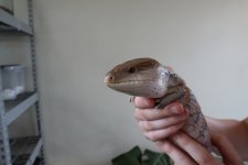 IMG_0455.jpg