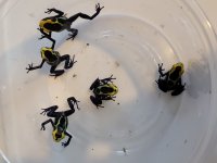 20210618_204542.jpg