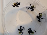 20210618_204521.jpg