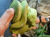 gtp 2.jpg