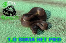 PicsArt_10-06-10.20.51.jpg