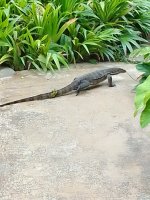 IMG_20210627_134808.jpg