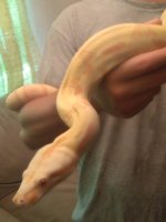 IMG_20180909_101555.jpg