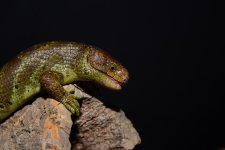 IMG_6359.jpg