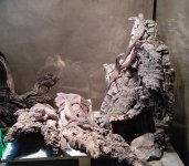 RBabiesC3-60.jpg