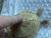 BB83841B-6A10-4BD9-8871-D2F4D54BD726.jpg