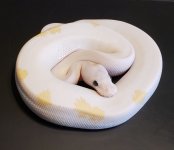 3-superfire.jpg