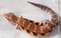EKK1_10-27-21_16w.jpg