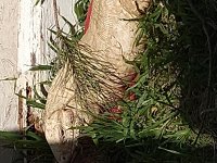 IMG_20220220_124249812.jpg