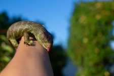 IMG_9383.jpg