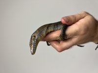 IMG_8172.jpg