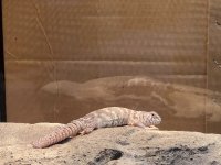 IMG_0326.jpg