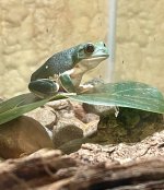 IMG_4329.jpg