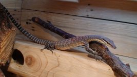 DSC08822.jpg