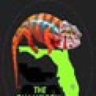 Chameleon Company