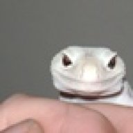 SilverStateExotics