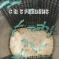 CNSFeeders