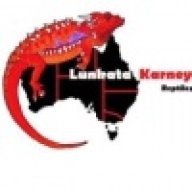 lunkatakarney