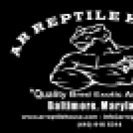 AR_Reptile_House