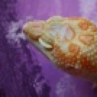AlmostHeavenHerps