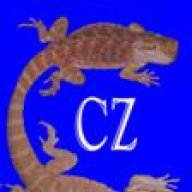 collisonzoo